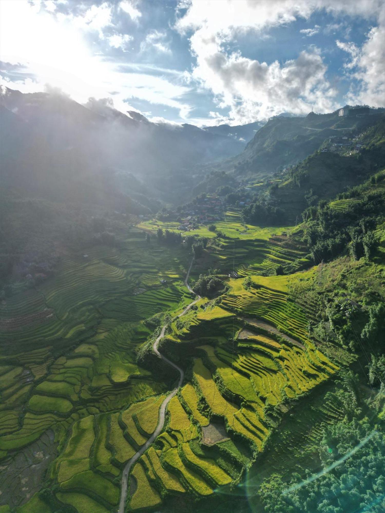 Phansi - Glamping, View Point 360, Bar & Bbq Sapa Eksteriør billede