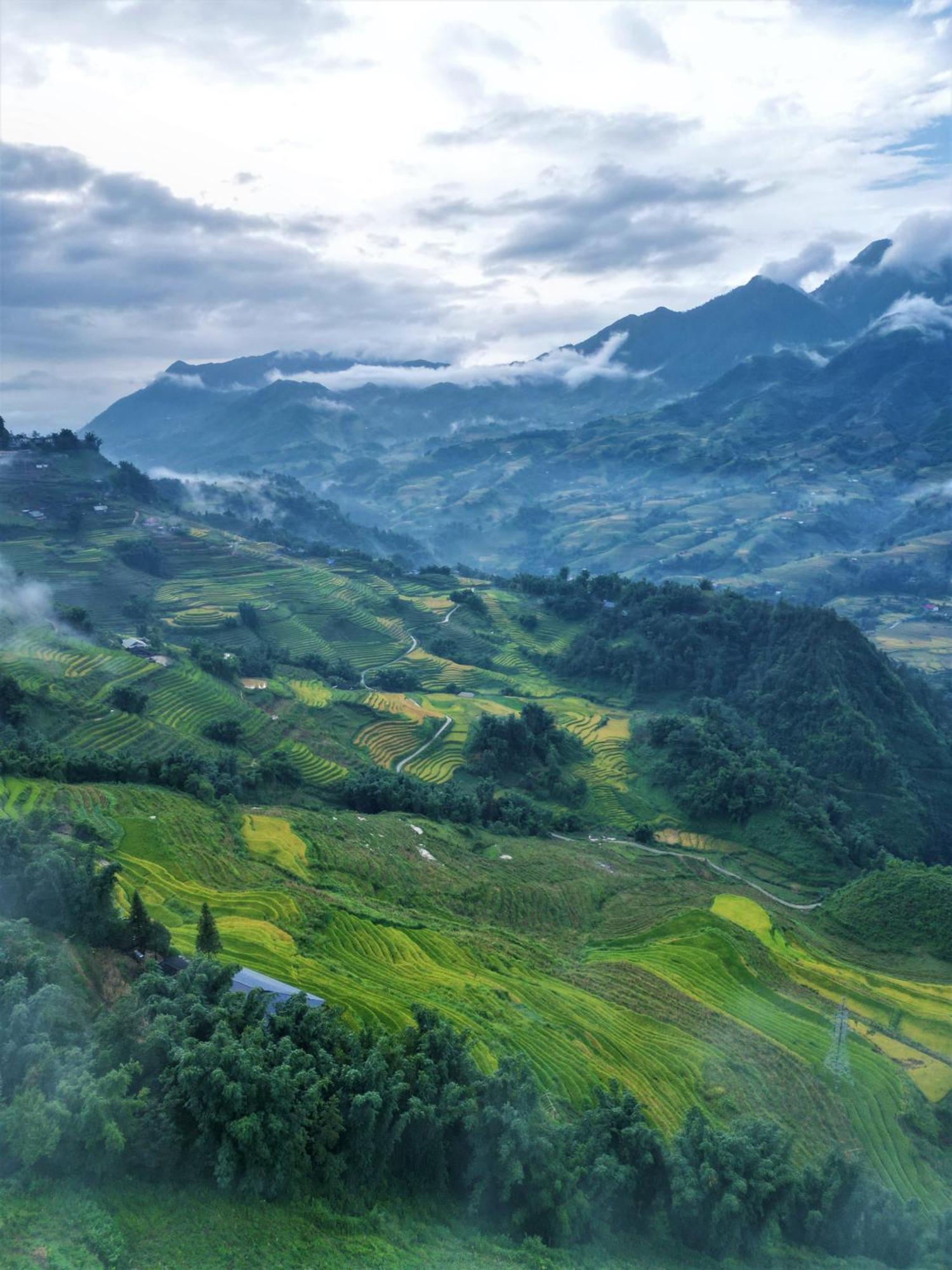 Phansi - Glamping, View Point 360, Bar & Bbq Sapa Eksteriør billede